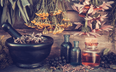 UTI’s, Yeast Infections, Standardized Herbs